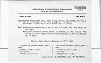 Monochaetia monochaeta image